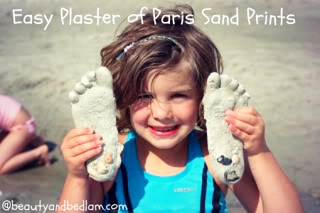 beach-craft-plaster-of-paris