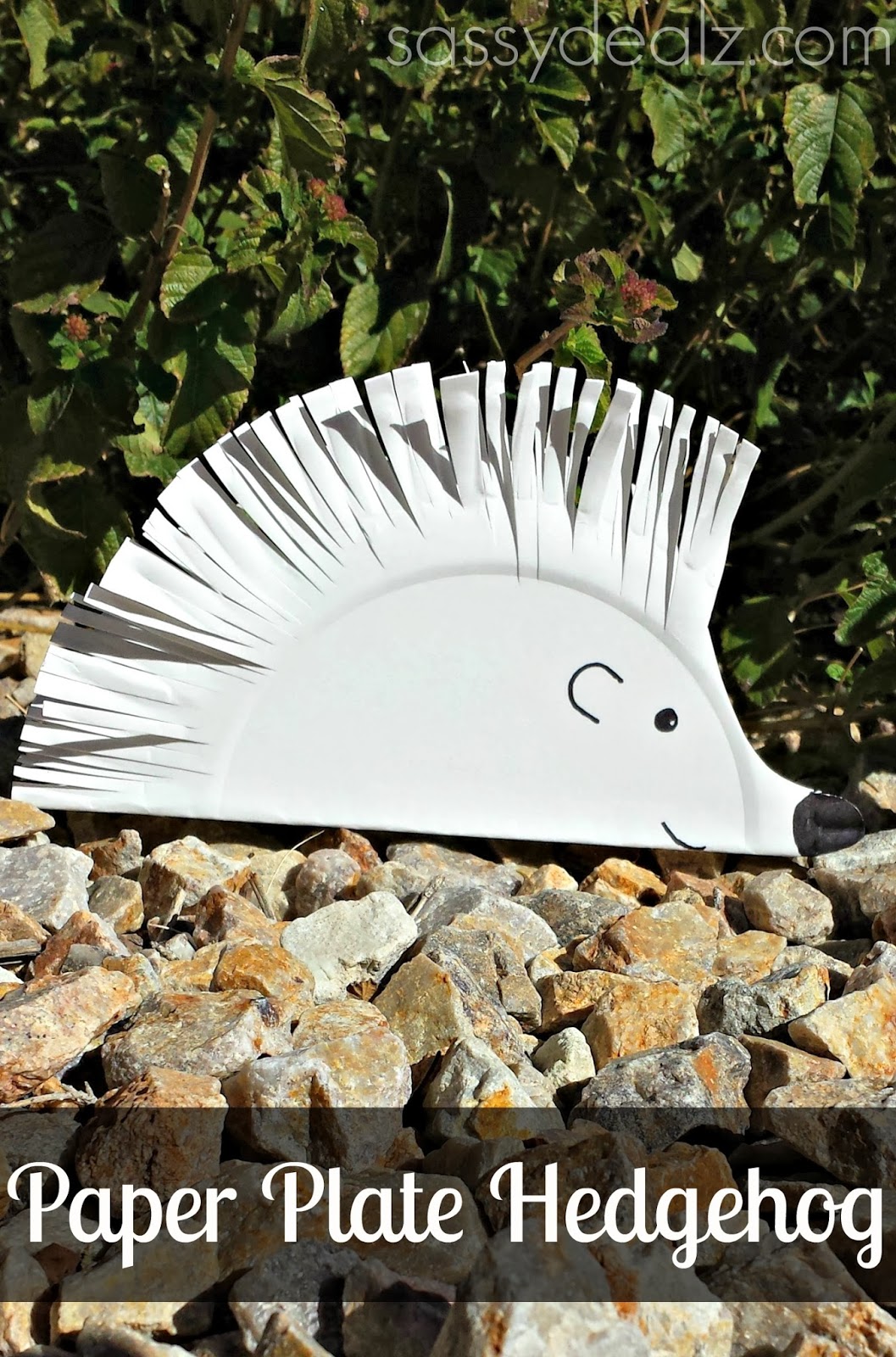 DIY Hedgehog Paper Plate Craft For Kids
