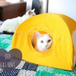 DIY Cat Tent Made with T-Shirts and Cardboard