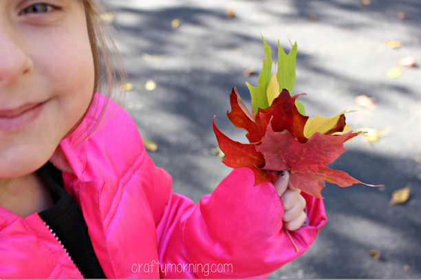leaf-turkey-craft-for-kids