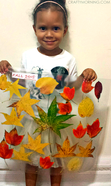 leaf-collage-contact-paper-fall-kids-craft-