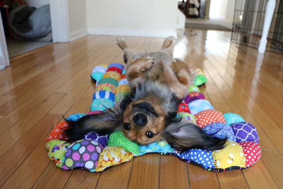 bubble-quilt-for-dogs