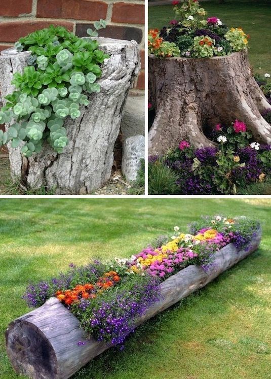 decorated-tree-stump-gardens