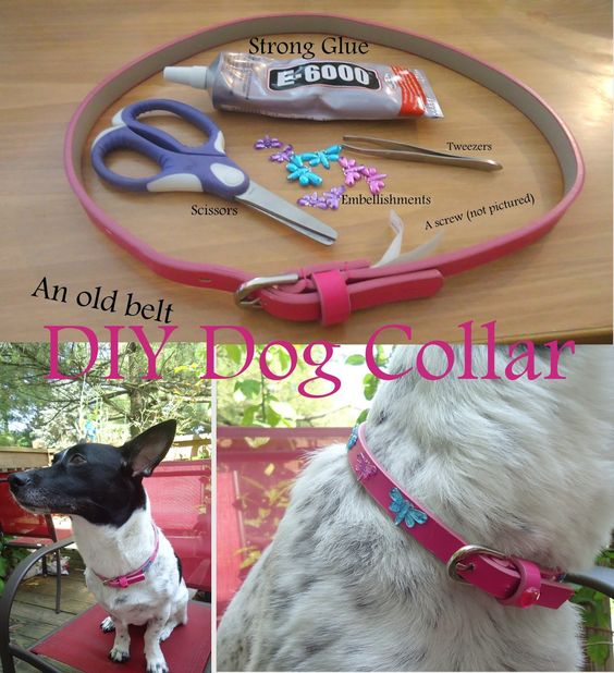 dog-collar-belt-hack