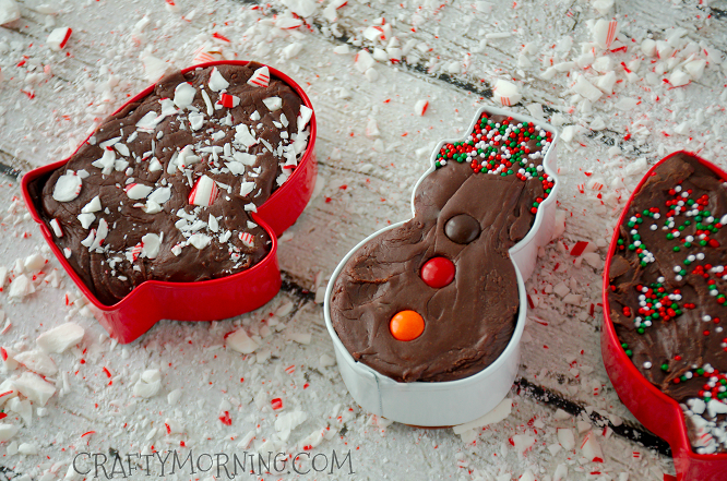 fudge-cookie-cutter-christmas-gift