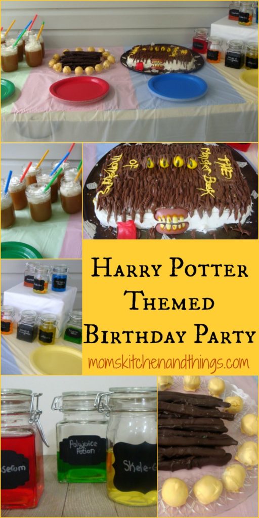 Harry Potter Themed Birthday Party