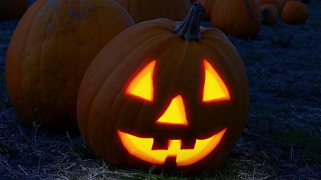 Tried and True Ways for Keeping Your Pumpkin from Rotting this Season