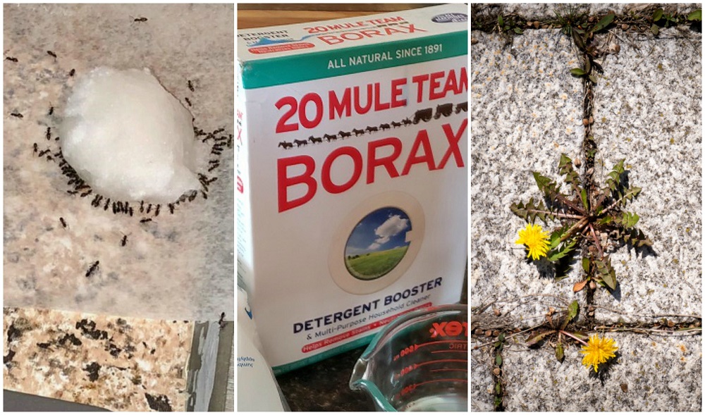 11 Borax Hacks That Prove It's a Miracle Product