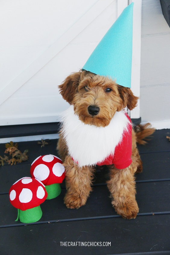 The Best Homemade Dog Halloween Costumes Crafty Morning
