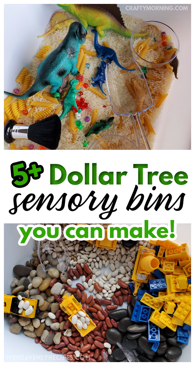 Dollar Tree Sensory Bin Ideas