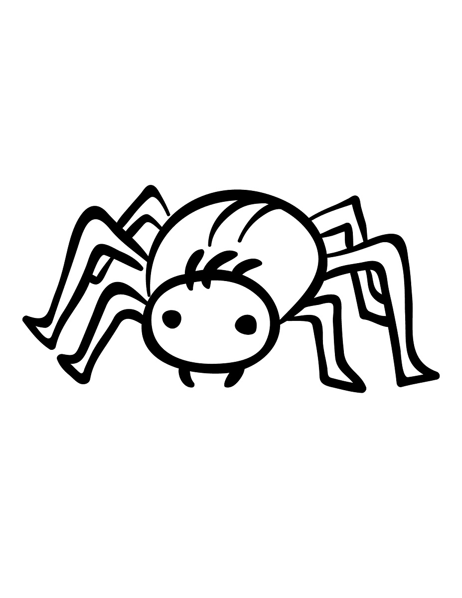 Draw A Simple Cute Spider, Step by Step, Drawing Guide, by foxes103 -  DragoArt