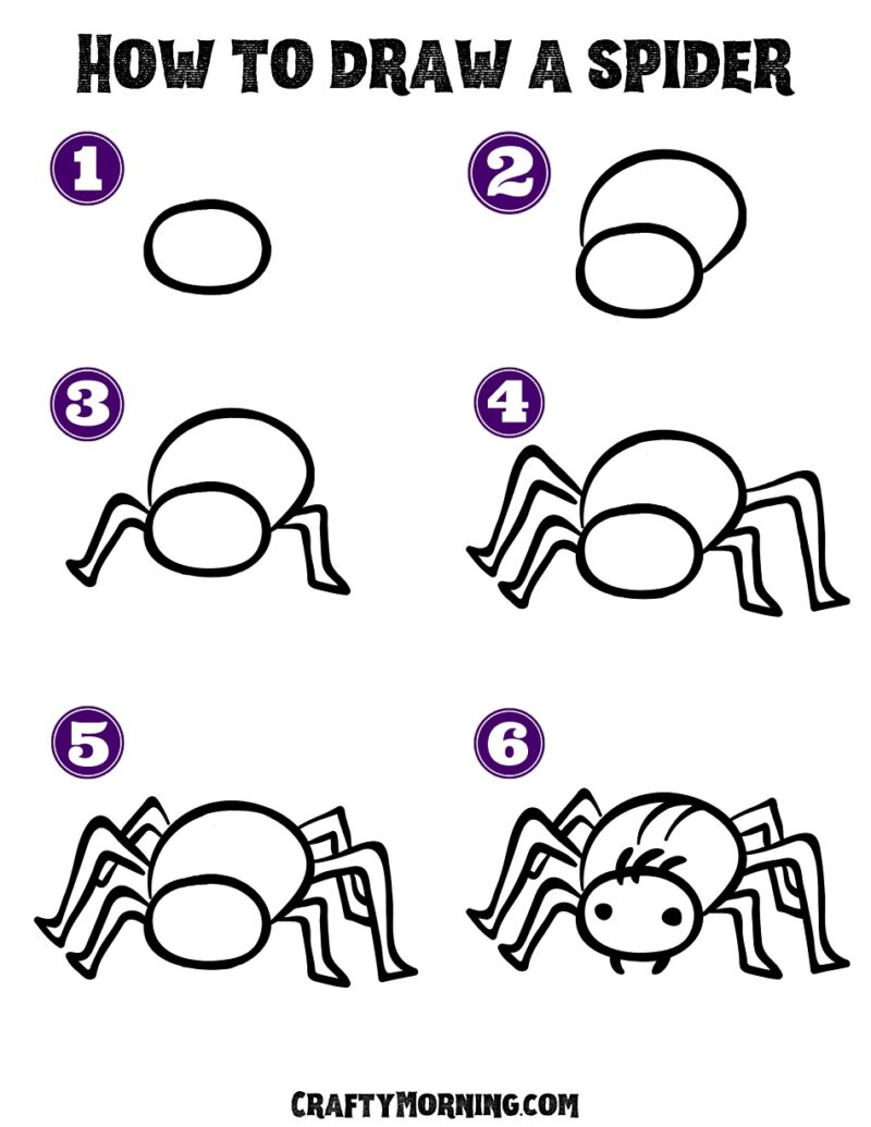 Easy Spider Drawing- Step by Step Printable - Crafty Morning