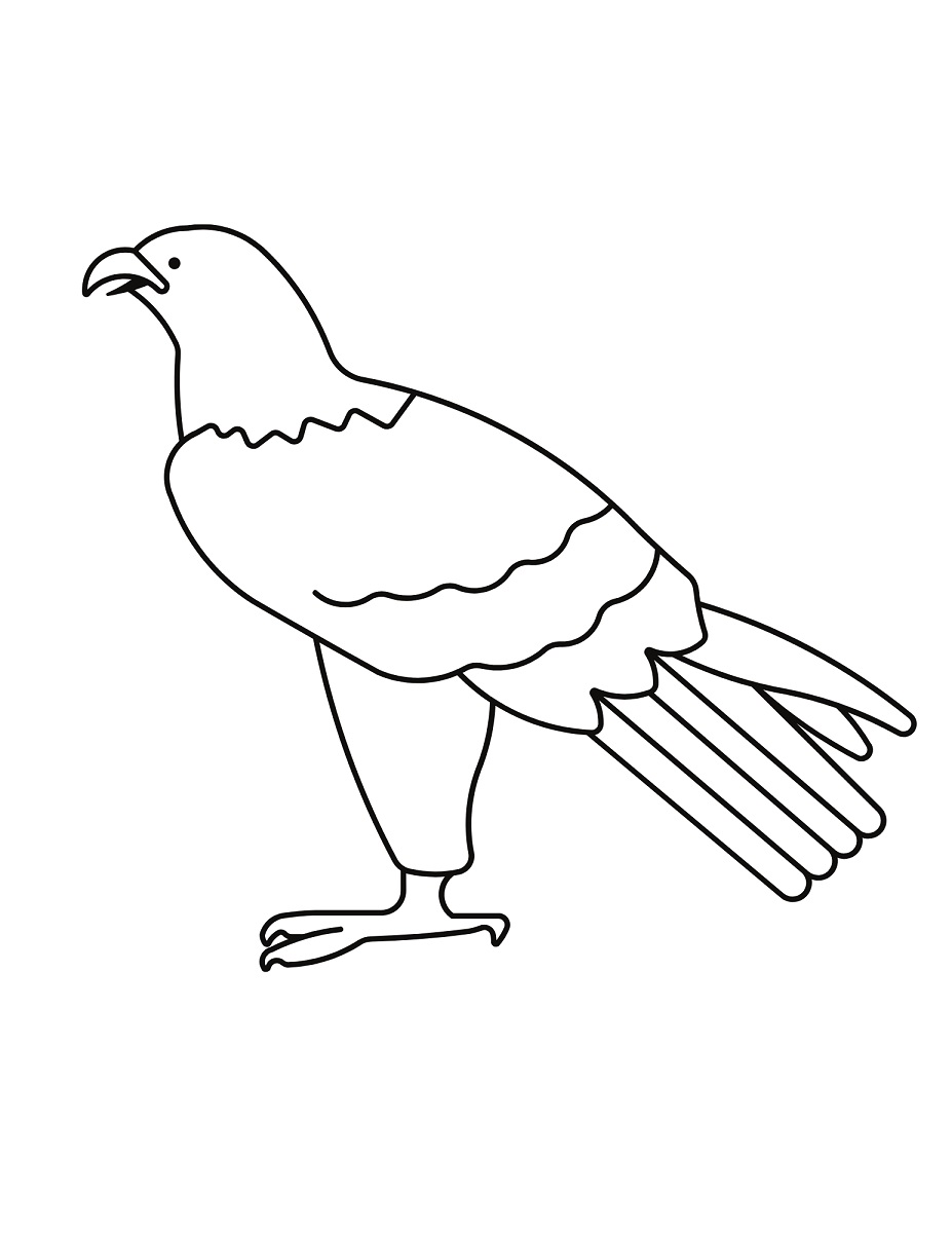 Download HD Eagle Vector By Souklin - Draw A Simple Eagle Transparent PNG  Image - NicePNG.com