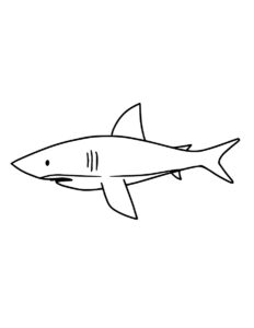 How to Draw a Shark (Easy Step by Step) - Crafty Morning