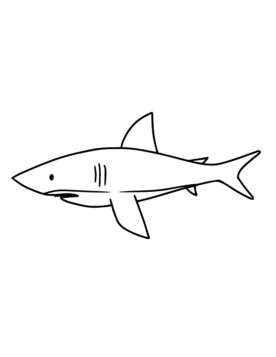simple shark drawing