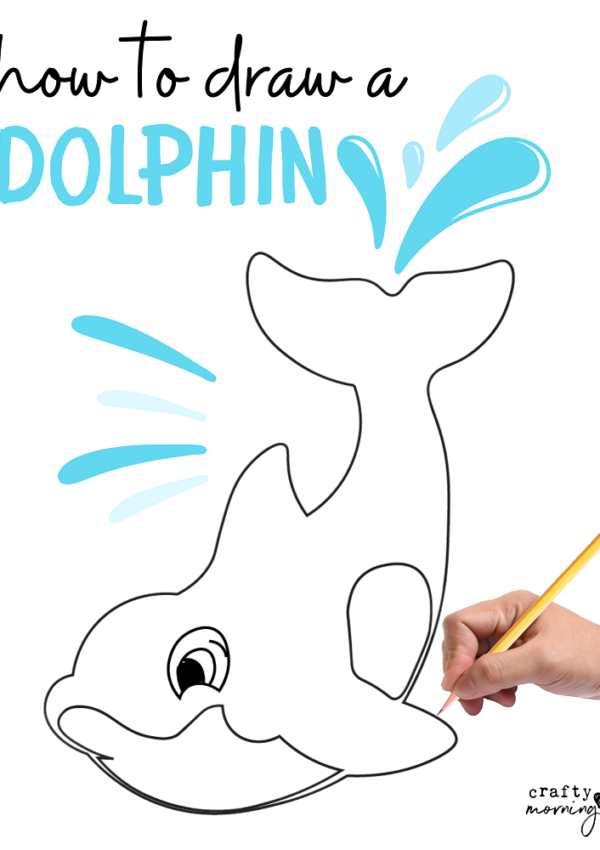 How to Draw a Dolphin Step by Step