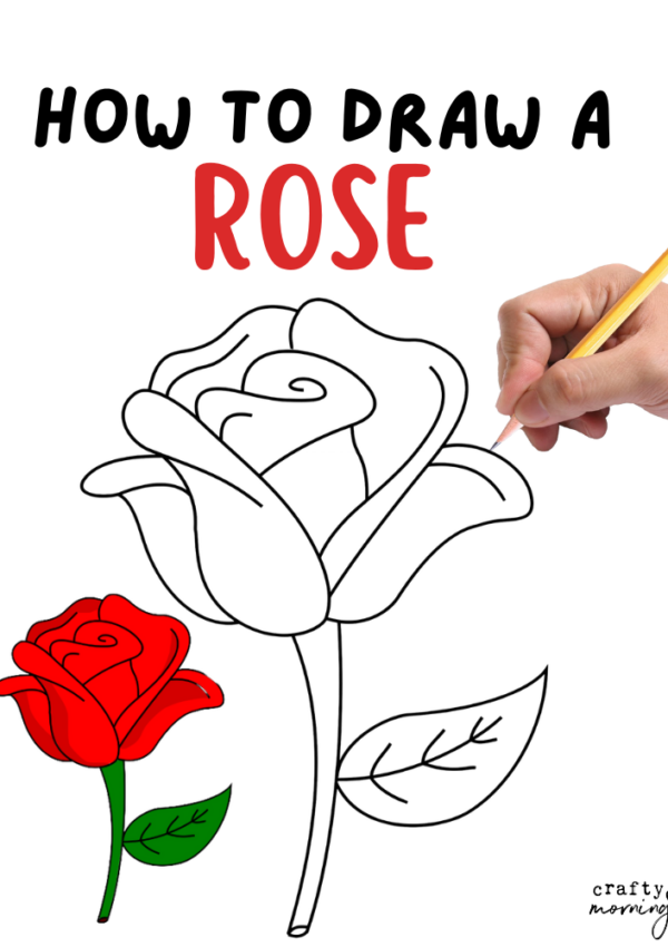How to Draw a Rose Step by Step (Easy)