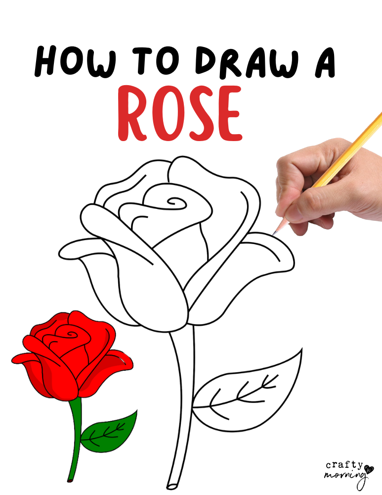 How to Draw a Rose Step by Step (Easy) - Crafty Morning