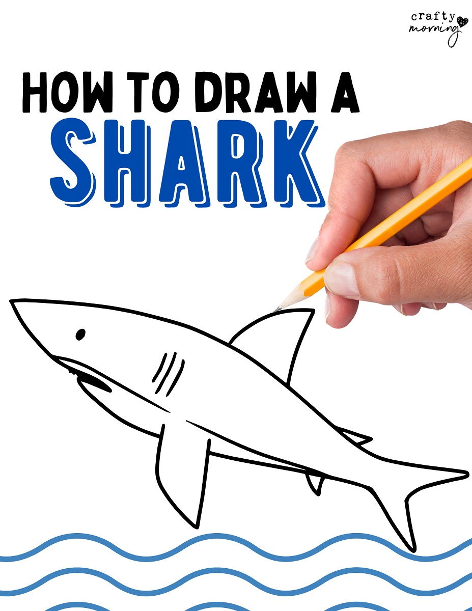 How to Draw a Blue Shark (Fishes) Step by Step | DrawingTutorials101.com