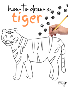 How to Draw a Tiger Step by Step - Crafty Morning