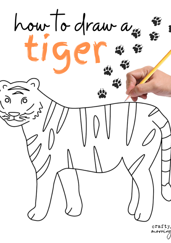 Sketching of a Tiger (fun fact: Its national animal of India) — Steemit