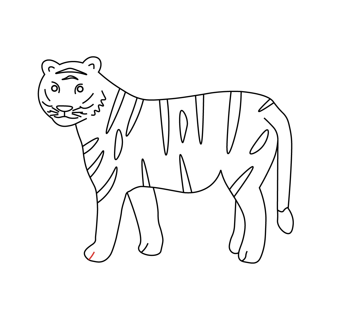 how to draw tiger step 5