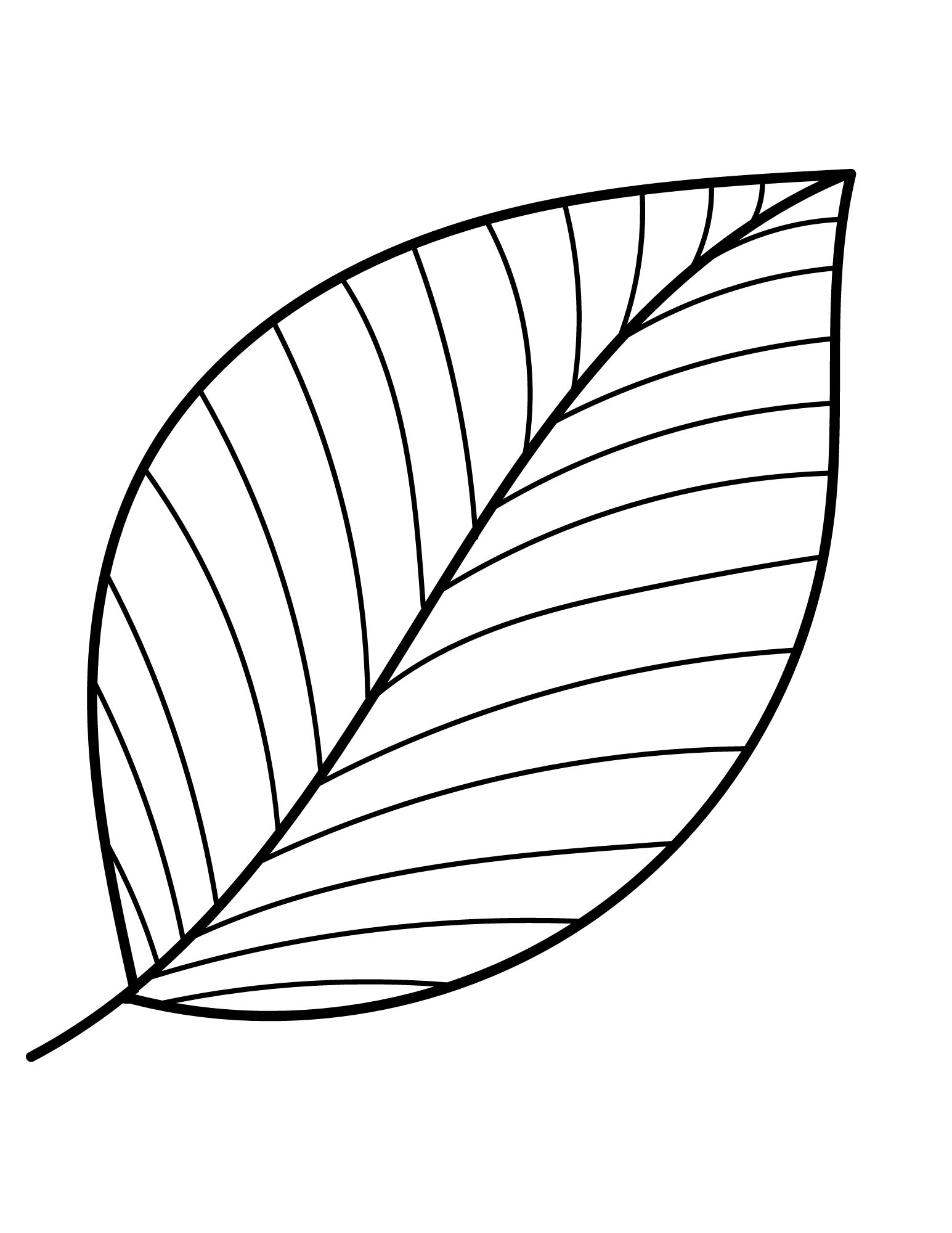 Free Leaf Templates & Outlines: Tons of Printables!!