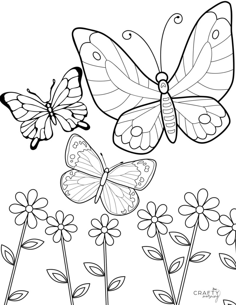 Free Butterfly Coloring Pages to Print - Crafty Morning