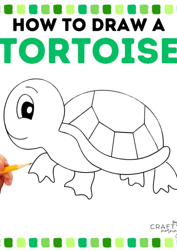 Drawing a Tortoise (Step by Step Tutorial)