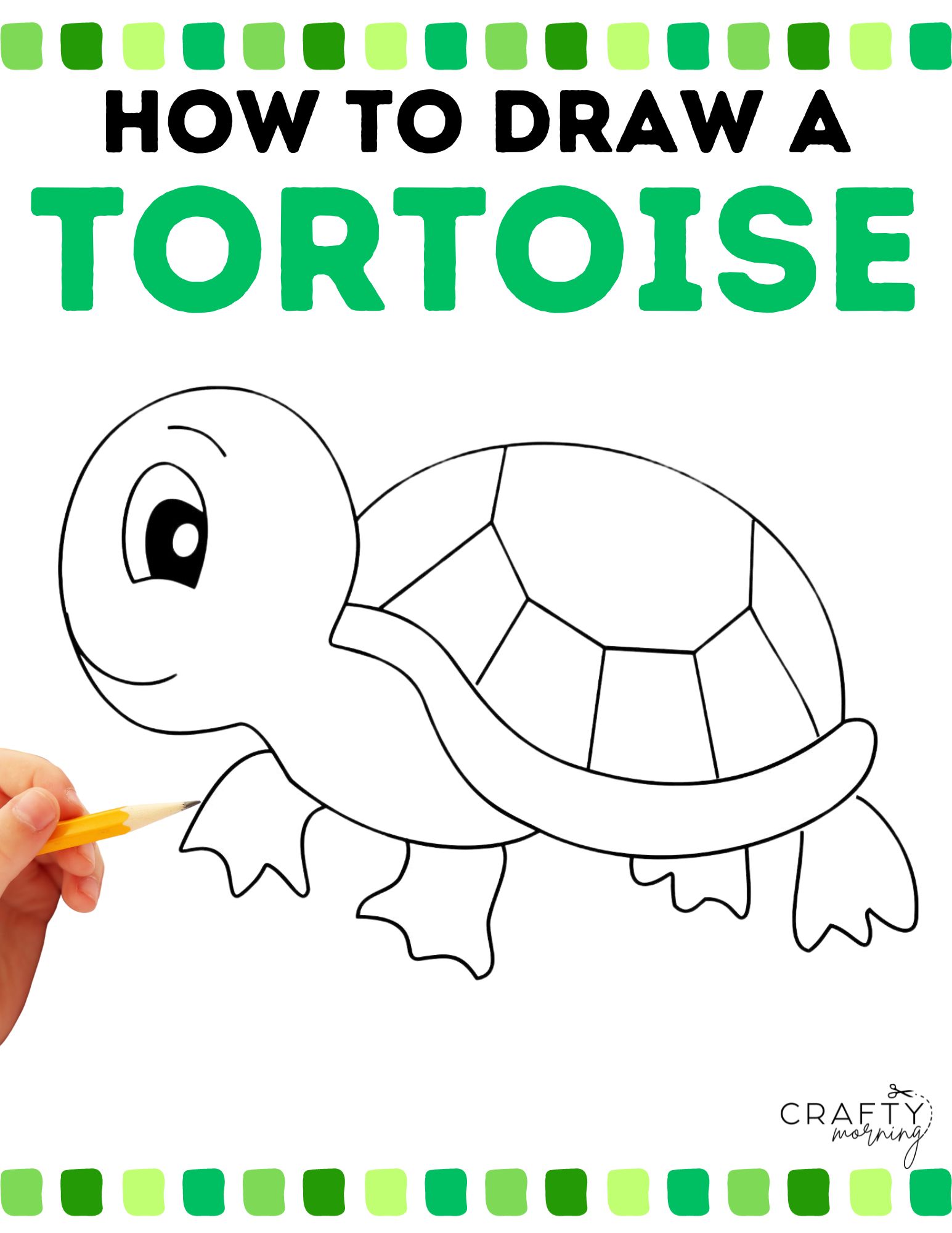Baby russian tortoise, stylized for tortoise lover