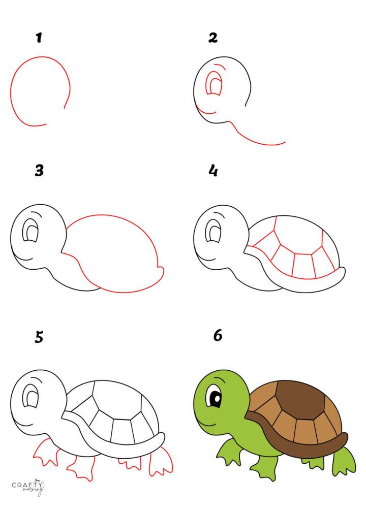 Drawing a Tortoise (Step by Step Tutorial) Crafty Morning