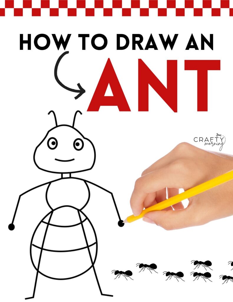 https://cdn.craftymorning.com/wp-content/uploads/2023/09/how-to-draw-an-ant-791x1024.jpg