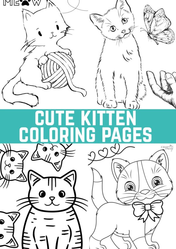Kitten Coloring Pages to Print
