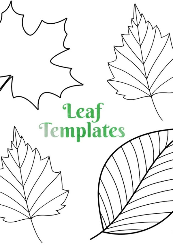Printable Leaf Outline Templates