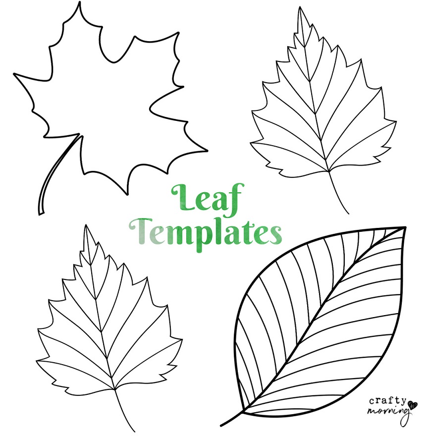 Printable Leaf Outline Templates - Crafty Morning