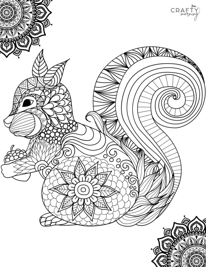 Squirrel Coloring Pages to Print - Crafty Morning