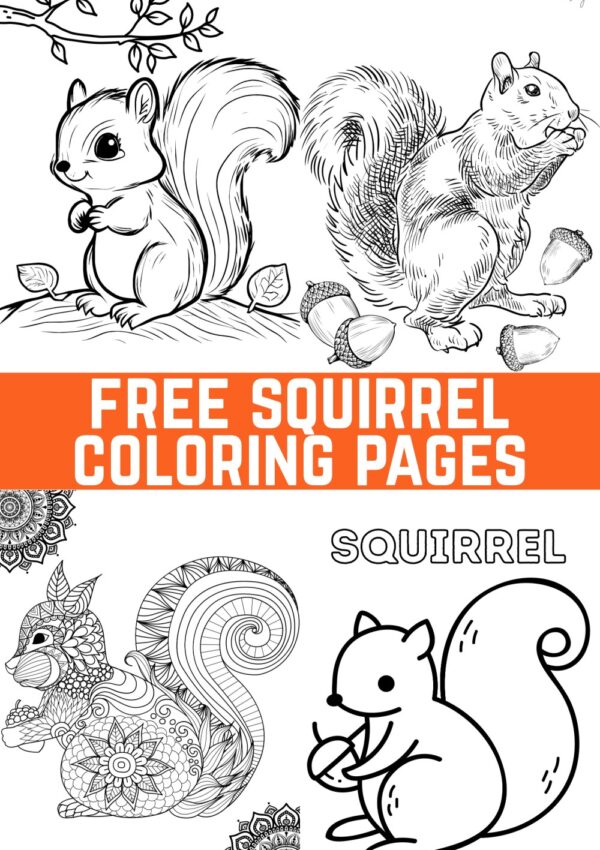 Squirrel Coloring Pages to Print